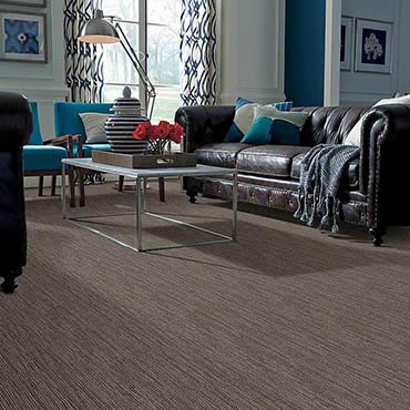 Anso® Nylon Carpet | Lawrence, KS
